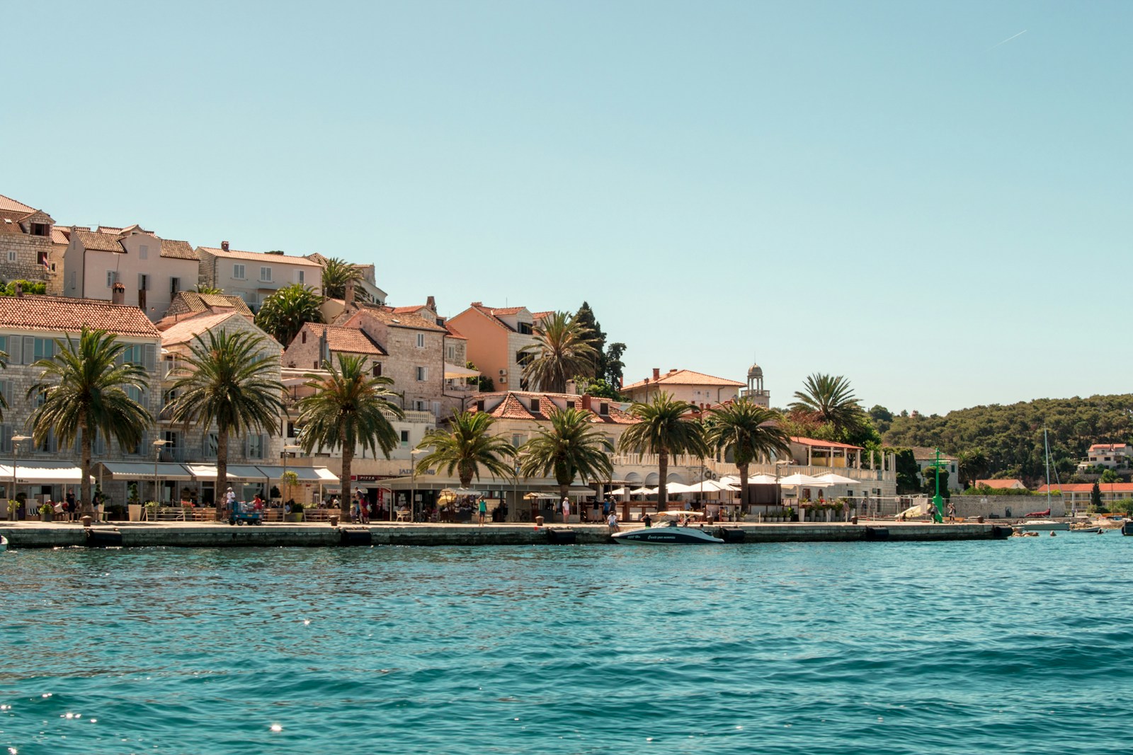 coconut tree beside body of water, Dubrovnik an unforgettable destination! Croatia